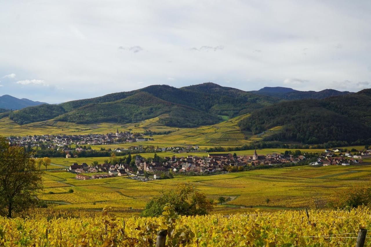 Gite Du Xve Kaysersberg-Vignoble Dış mekan fotoğraf